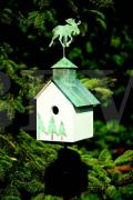 142A Sleepy Hollow.jpg